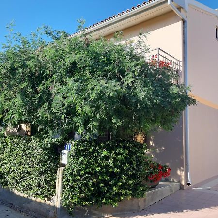 Studio Rocco Novigrad Istria Exteriör bild