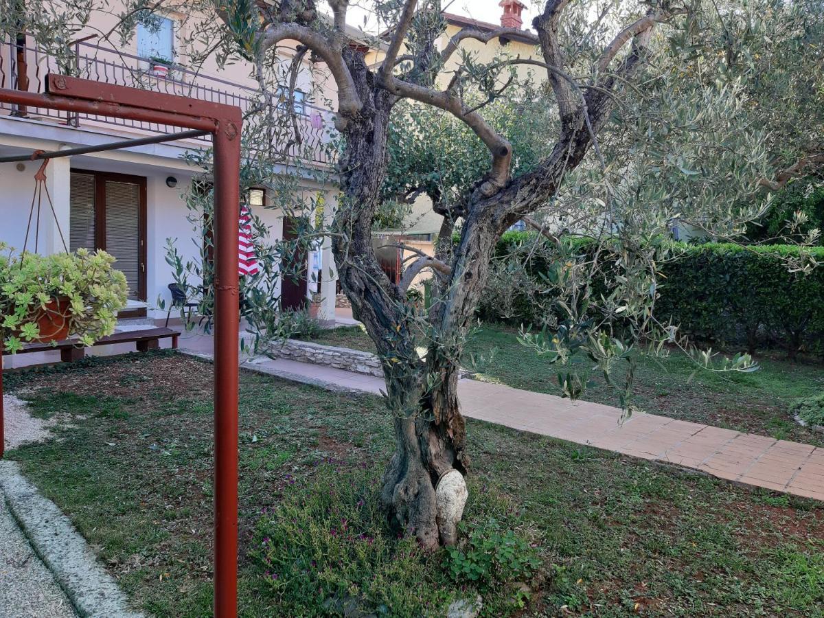 Studio Rocco Novigrad Istria Exteriör bild
